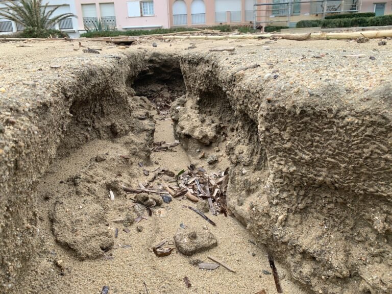 60df86fd-4265-4a8a-b37a-06c37ca14e80