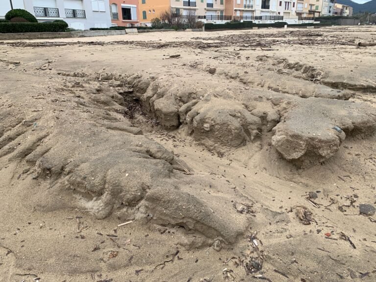 6f717c9f-b359-4729-bc69-77206dee3aaf