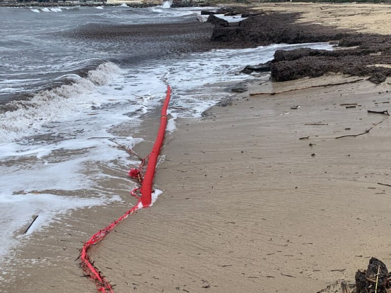 8eba8612-e968-433e-bd76-f0410498ab22