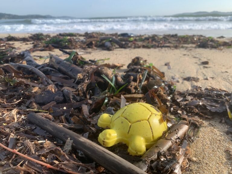 ccbab990-7d0c-4aa6-bf13-ade57dd024f7