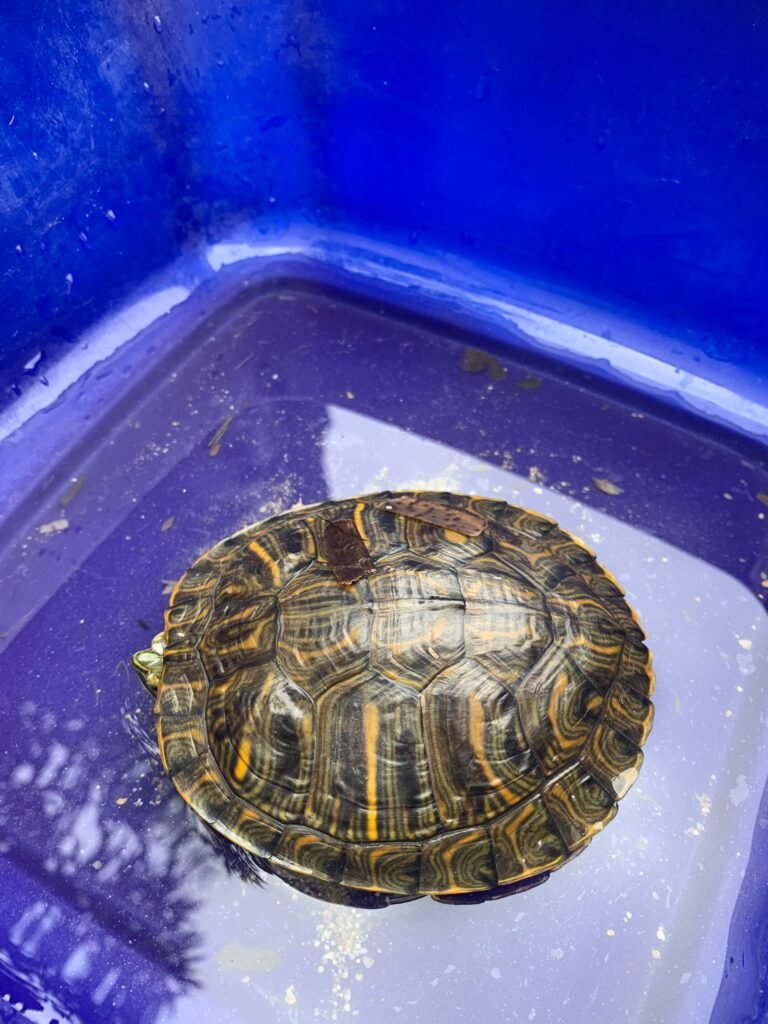 PHOTO-2026-02-25-10-56-45