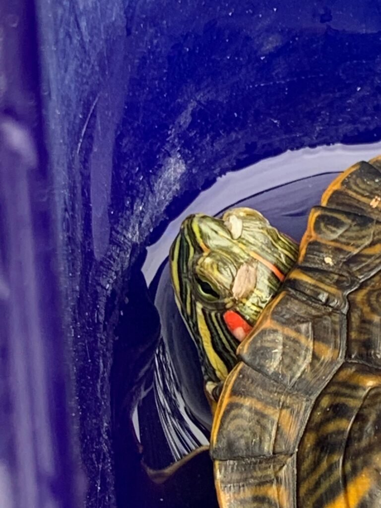 PHOTO-2026-02-25-11-01-52