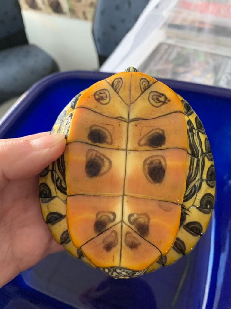 PHOTO-2026-02-26-11-43-19