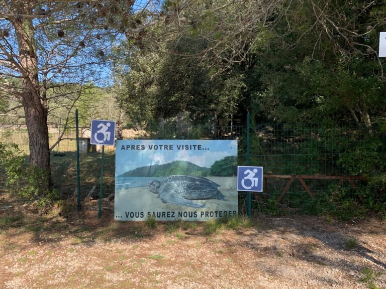 PHOTO-2026-02-26-11-47-04