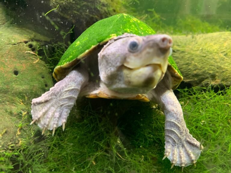 PHOTO-2026-02-26-11-47-09