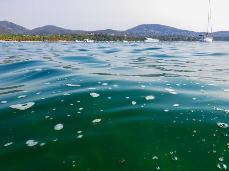 Vigilance qualité des eaux Port Grimaud